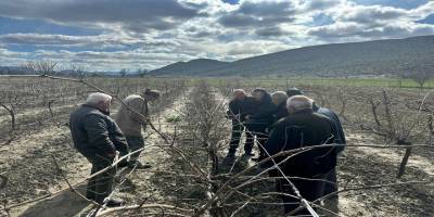 Korkuteli’nde Çiftçilere Uygulamalı Budama Eğitimi