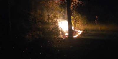 Alanya’da Orman Yangını Büyümeden Söndürüldü