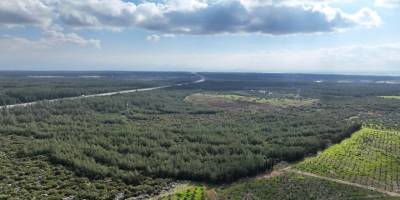 Antalya’da 20 Bin Fidanla Geleceğe Nefes