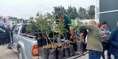 Alanya’da keçiboynuzu için umut veren destek