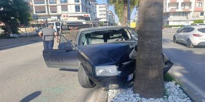 Tofaş Palmiyeye Çarptı: 4 Genç Yaralı