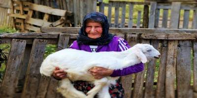 94 Yaşında Dağların Vazgeçilmez Çobanı Oldu