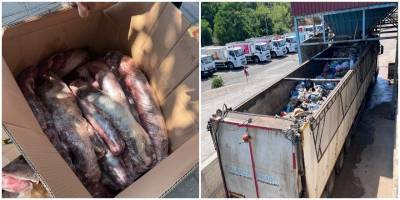 Alanya'da 300 kilo şüpheli et imha edildi