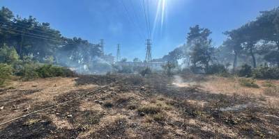 Manavgat’taki orman yangını büyümeden kontrol altına alındı