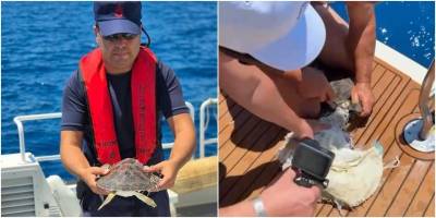 Alanya’da çuvala dolanan caretta carettayı kaptan kurtardı