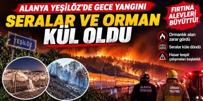 Alanya Yeşilöz’de Gece Yangını: Seralar ve Orman Kül Oldu