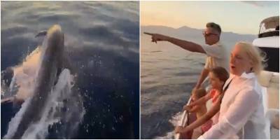Alanya açıklarında yunusların şovu turistleri mest etti