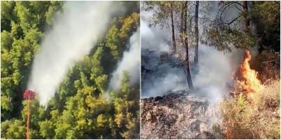 Manavgat’taki orman yangını kontrol altına alındı