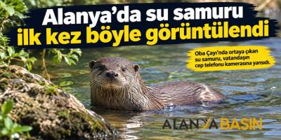 Alanya’da su samuru ilk kez böyle görüntülendi
