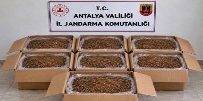 Alanya ve Döşemealtı’nda Kaçak Tütün Operasyonu