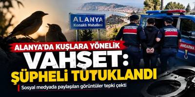 Alanya’da kuşlara yönelik vahşet sonrası tutuklama